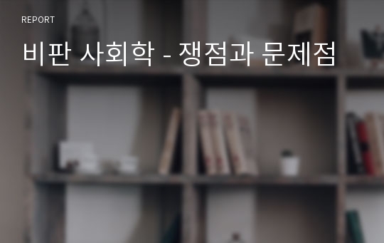 비판 사회학 - 쟁점과 문제점