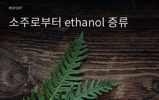소주로부터 ethanol 증류