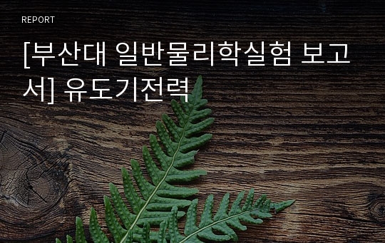 [부산대 일반물리학실험 보고서] 유도기전력