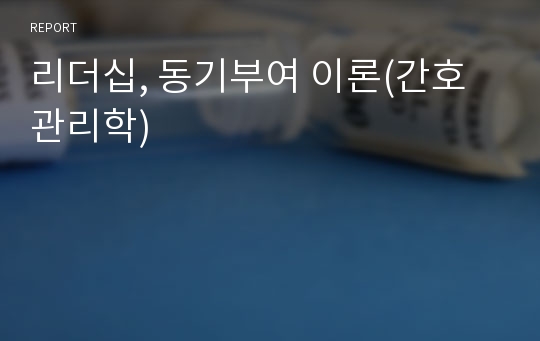 리더십, 동기부여 이론(간호관리학)