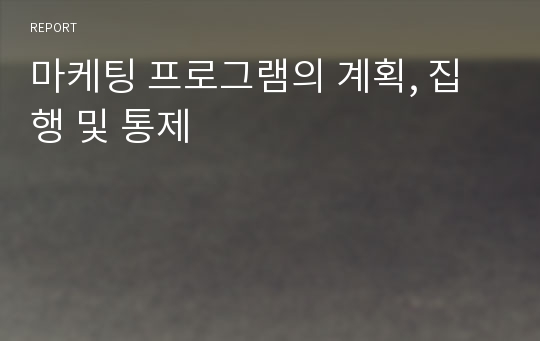 마케팅 프로그램의 계획, 집행 및 통제