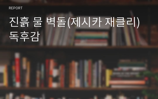 진흙 물 벽돌(제시카 재클리) 독후감