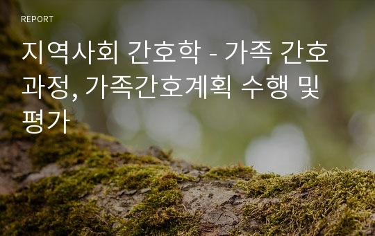 지역사회 간호학 - 가족 간호과정, 가족간호계획 수행 및 평가