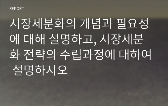 시장세분화의 개념과 필요성에 대해 설명하고, 시장세분화 전략의 수립과정에 대하여 설명하시오