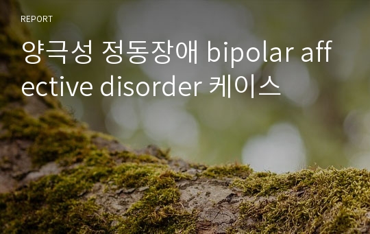 양극성 정동장애 bipolar affective disorder 케이스
