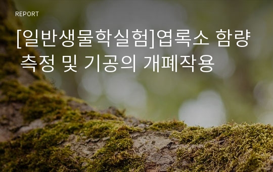 [일반생물학실험]엽록소 함량 측정 및 기공의 개폐작용