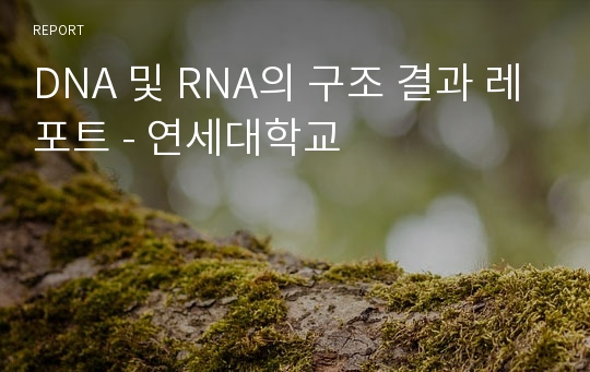 DNA 및 RNA의 구조 결과 레포트 - 연세대학교