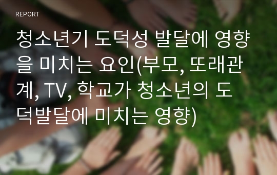 청소년기 도덕성 발달에 영향을 미치는 요인(부모, 또래관계, TV, 학교가 청소년의 도덕발달에 미치는 영향)