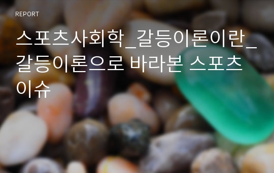 스포츠사회학_갈등이론이란_갈등이론으로 바라본 스포츠 이슈