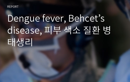 Dengue fever, Behcet’s disease, 피부 색소 질환 병태생리
