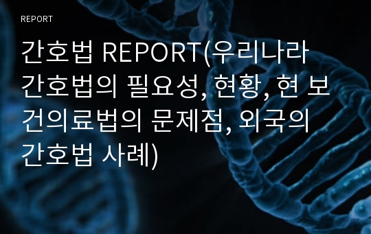 간호법 REPORT(우리나라 간호법의 필요성, 현황, 현 보건의료법의 문제점, 외국의 간호법 사례)