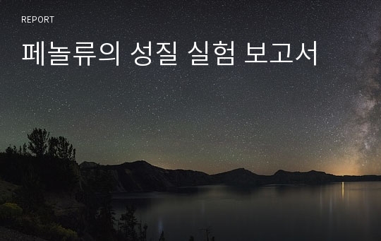 페놀류의 성질 실험 보고서