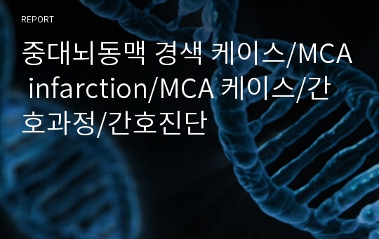 중대뇌동맥 경색 케이스/MCA infarction/MCA 케이스/간호과정/간호진단