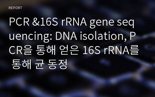 PCR &amp;16S rRNA gene sequencing: DNA isolation, PCR을 통해 얻은 16S rRNA를 통해 균 동정