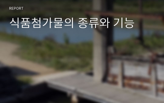 식품첨가물의 종류와 기능