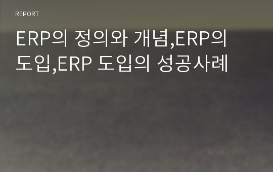 ERP의 정의와 개념,ERP의 도입,ERP 도입의 성공사례