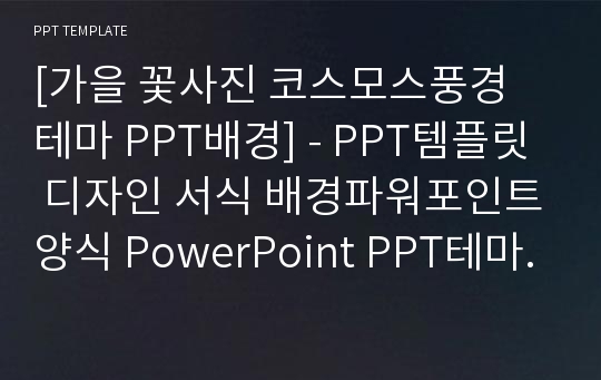 [가을 꽃사진 코스모스풍경 테마 PPT배경] - PPT템플릿 디자인 서식 배경파워포인트양식 PowerPoint PPT테마 프레젠테이션