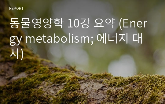 동물영양학 10강 요약 (Energy metabolism; 에너지 대사)