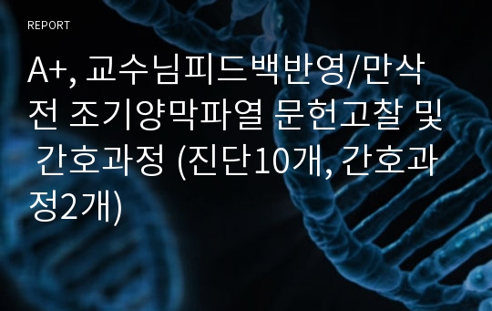 A+, 교수님피드백반영/만삭 전 조기양막파열 문헌고찰 및 간호과정 (진단10개, 간호과정2개)