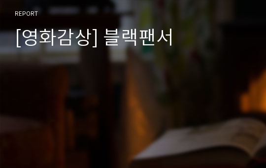 [영화감상] 블랙팬서