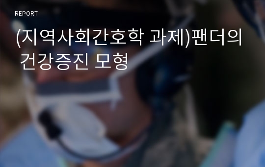 (지역사회간호학 과제)팬더의 건강증진 모형