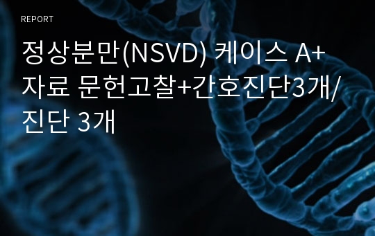 [여성간호학 A+] 정상분만(NSVD) 케이스 /문헌고찰+간호진단3개