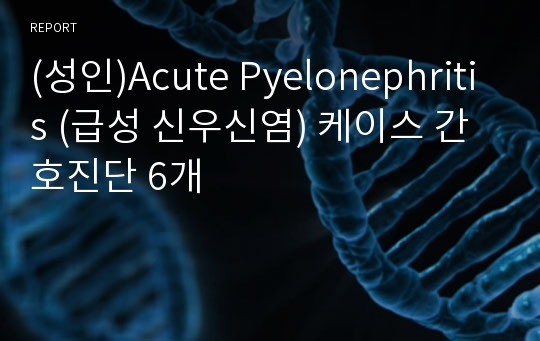 (성인)Acute Pyelonephritis (급성 신우신염) 케이스 간호진단 6개