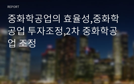 중화학공업의 효율성,중화학공업 투자조정,2차 중화학공업 조정