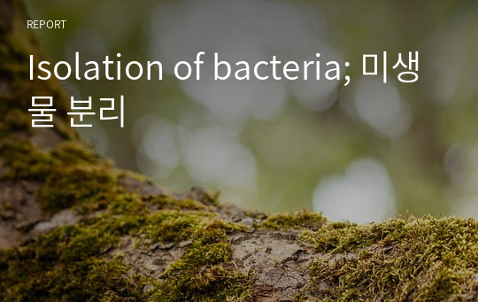 Isolation of bacteria; 미생물 분리