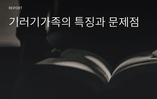 기러기가족의 특징과 문제점