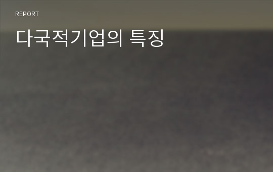다국적기업의 특징