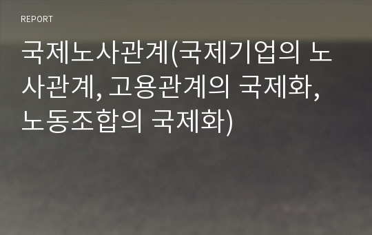 국제노사관계(국제기업의 노사관계, 고용관계의 국제화, 노동조합의 국제화)