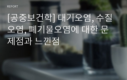 [공중보건학] 대기오염, 수질오염, 폐기물오염에 대한 문제점과 느낀점