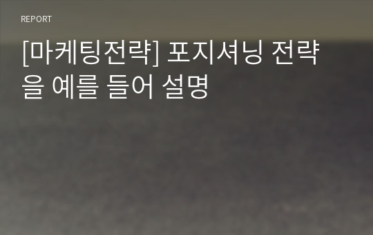 [마케팅전략] 포지셔닝 전략을 예를 들어 설명