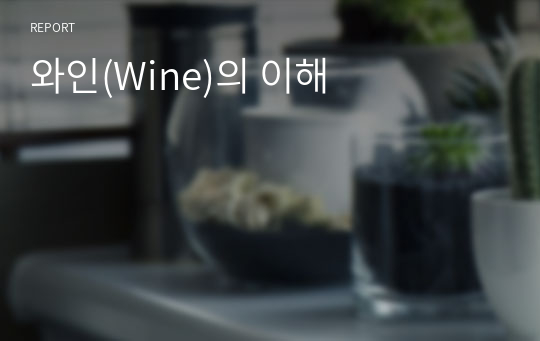 와인(Wine)의 이해
