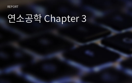 연소공학 Chapter 3