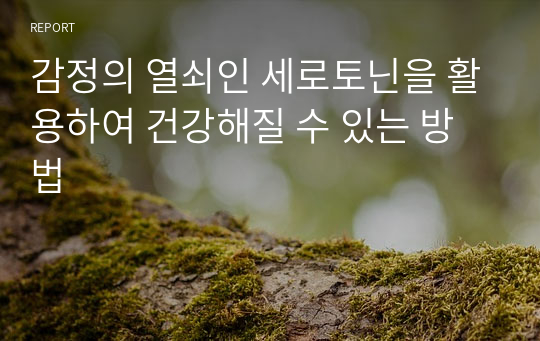 감정의 열쇠인 세로토닌을 활용하여 건강해질 수 있는 방법