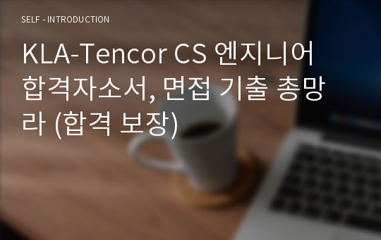 KLA-Tencor CS 엔지니어 합격자소서, 면접 기출 총망라 (합격 보장)