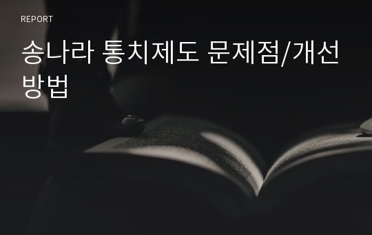 송나라 통치제도 문제점/개선방법