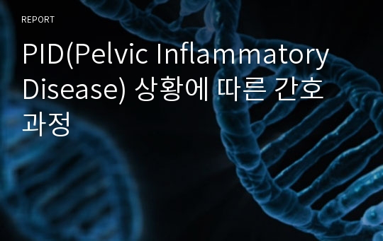 PID(Pelvic Inflammatory Disease) 상황에 따른 간호과정