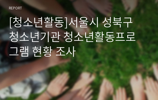 [청소년활동]서울시 성북구 청소년기관 청소년활동프로그램 현황 조사
