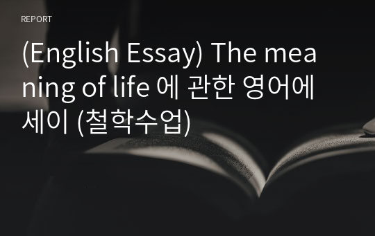 (English Essay) The meaning of life 에 관한 영어에세이 (철학수업)