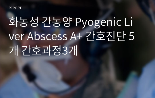 화농성 간농양 Pyogenic Liver Abscess A+ 간호진단 5개 간호과정3개