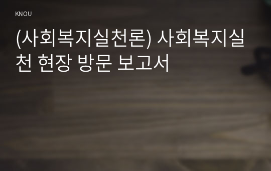 (사회복지실천론) 사회복지실천 현장 방문 보고서