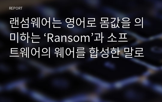 랜섬웨어는 영어로 몸값을 의미하는 ‘Ransom’과 소프트웨어의 웨어를 합성한 말로