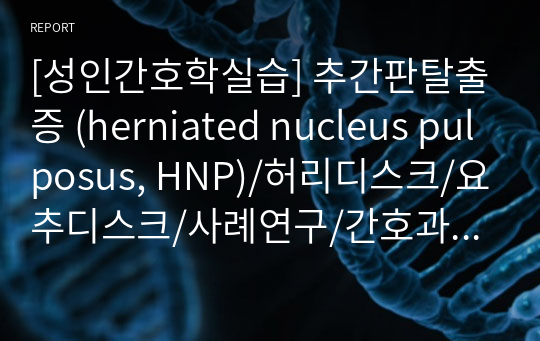 [성인간호학실습] 추간판탈출증 (herniated nucleus pulposus, HNP)/허리디스크/요추디스크/사례연구/간호과정/케이스/A+자료