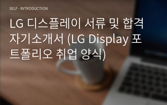 LG 디스플레이 서류 및 합격 자기소개서 (LG Display 포트폴리오 취업 양식)