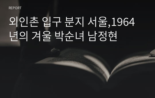 외인촌 입구 분지 서울,1964년의 겨울 박순녀 남정현