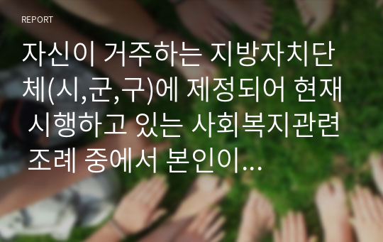 자신이 거주하는 지방자치단체(시,군,구)에 제정되어 현재 시행하고 있는 사회복지관련 조례 중에서 본인이 관심 있는 조례 하나를 찾아, 찾은 조례의 제정배경, 목적, 내용 등을 간략히 기술하고, 현재 상황에서 조례에 대한 문제점과 개선 방안 등에 대해 서술 하시오.