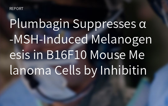 Plumbagin Suppresses α-MSH-Induced Melanogenesis in B16F10 Mouse Melanoma Cells by Inhibiting Tyrosinase Activity